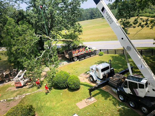 Crane-Assisted Tree Removal in Peachtree City