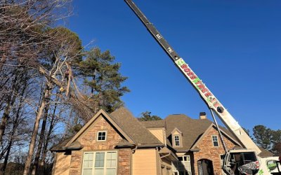 How Boss Tree Service Helped a Sharpsburg, GA, Homeowner With Removal of a Tree That Was Too Close to the House