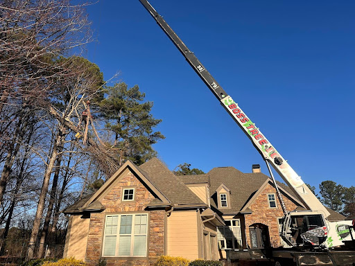 Residential Oak Tree Removal in Sharpsburg