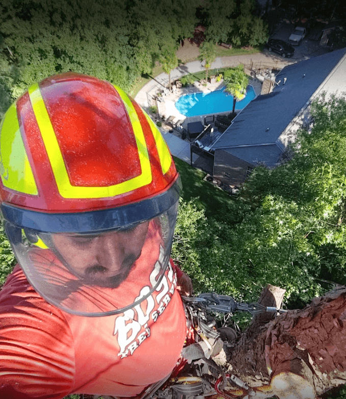 Screenshot 2024 12 17 195113 - Boss Tree Service