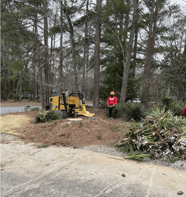 Screenshot 2024 12 17 224541 - Boss Tree Service
