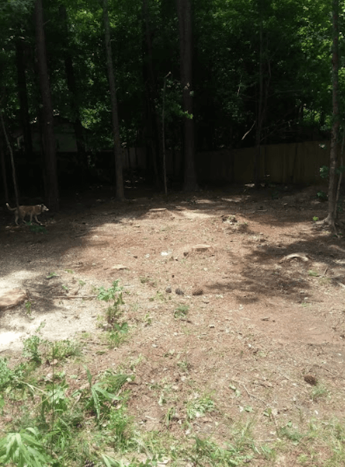 Screenshot 2024 12 17 225140 - Boss Tree Service