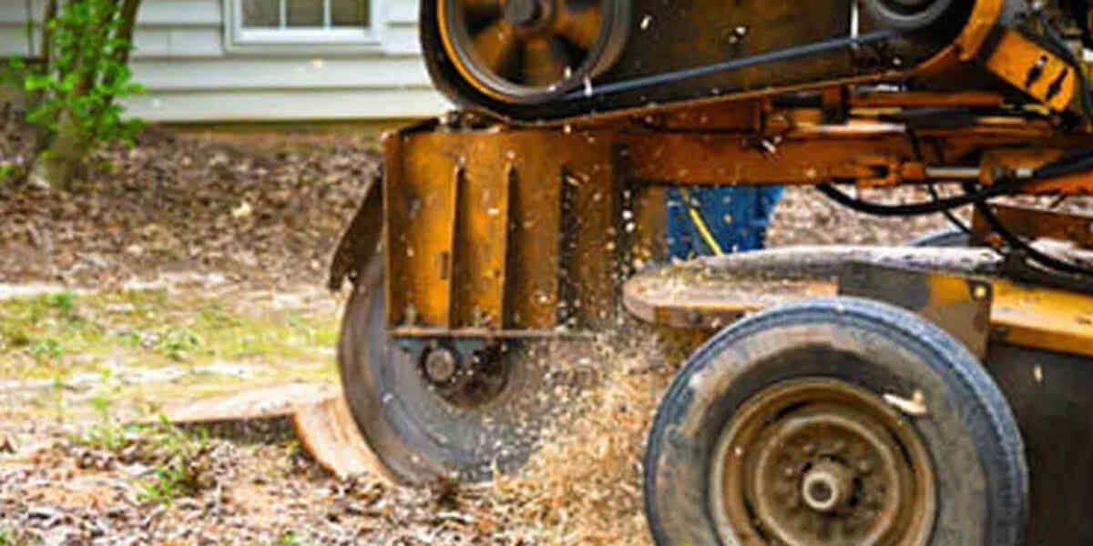 best way to remove a tree stump