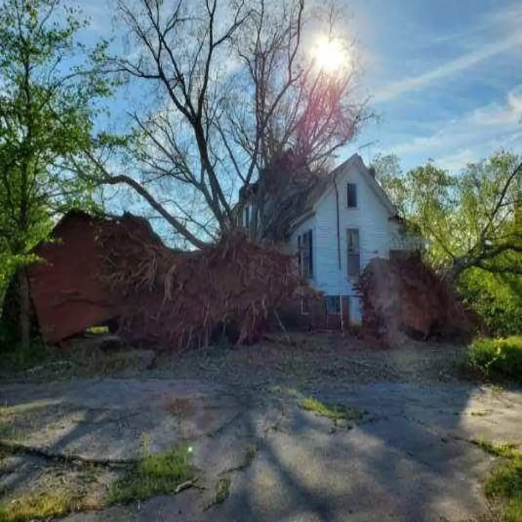 An emergency tree service job in Tyrone, GA