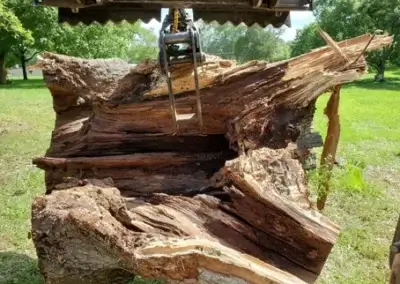 g5 - Boss Tree Service