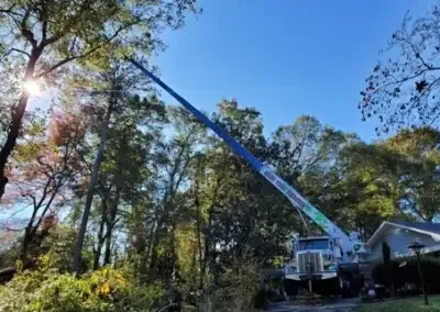 g6 - Boss Tree Service