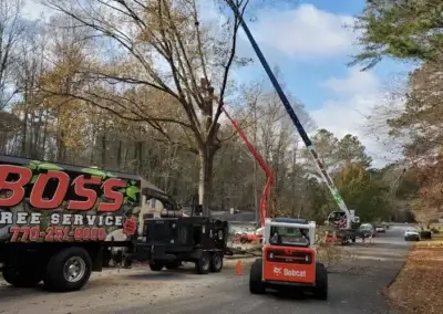 img1 1 - Boss Tree Service