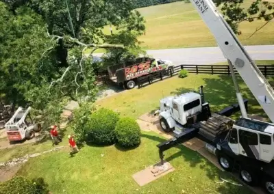 img1 - Boss Tree Service
