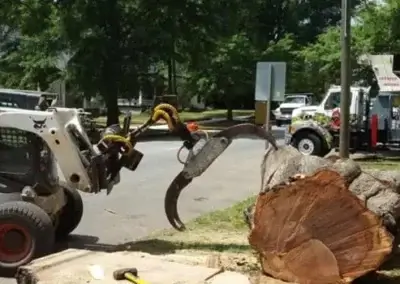 img3 - Boss Tree Service