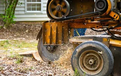 Stump Grinding in Newnan, GA | Boss Tree Service Case Study