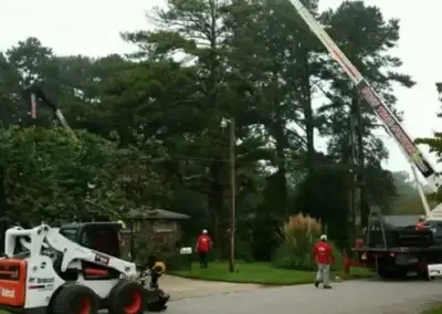 img5 - Boss Tree Service