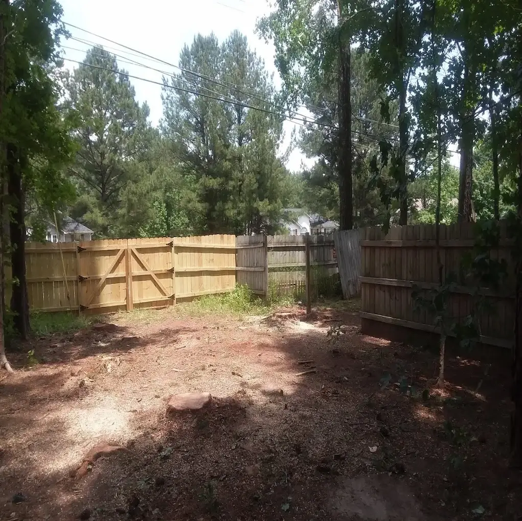 A stump grinding in Senoia, GA