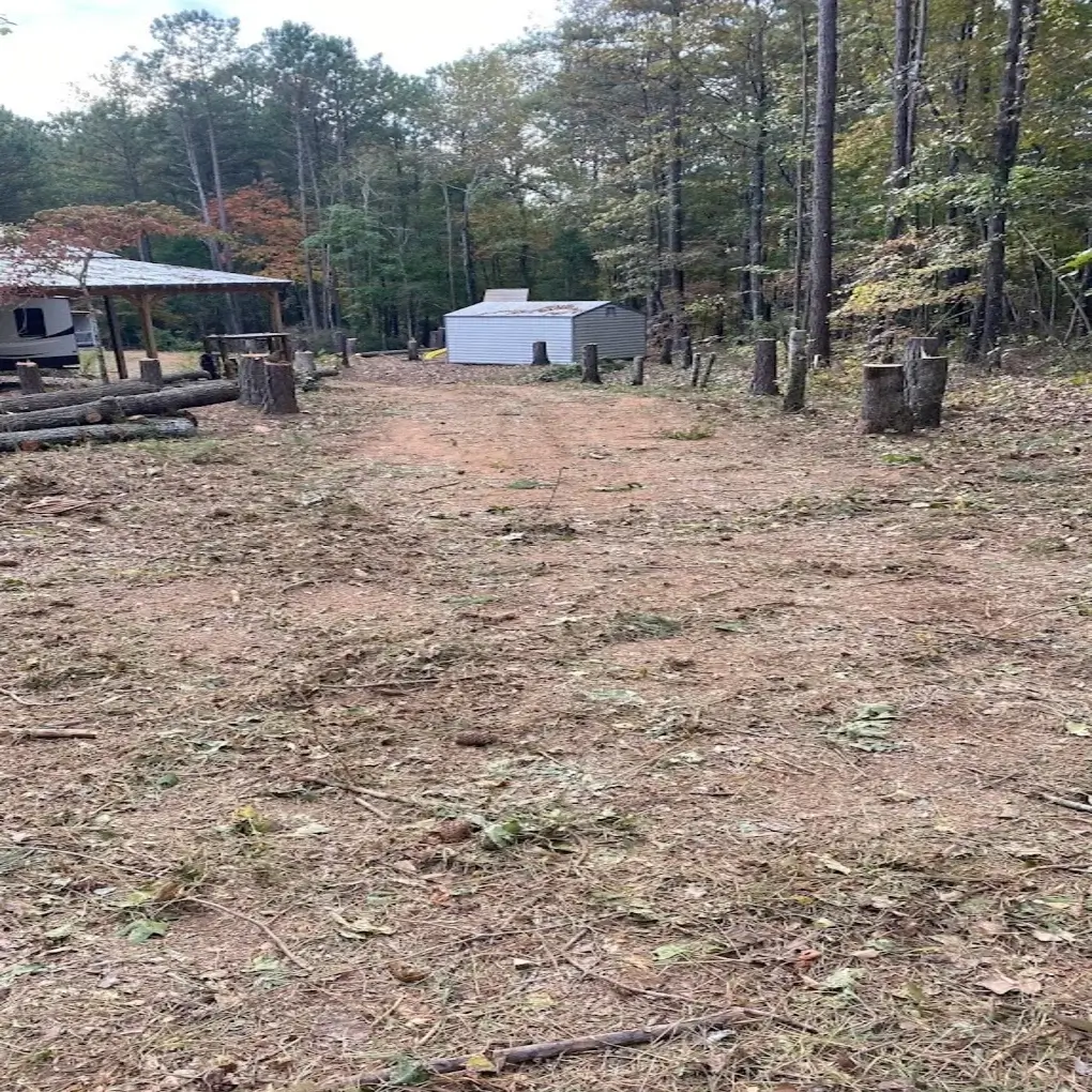 A lot before a stump grinding job in Sharpsburg, GA