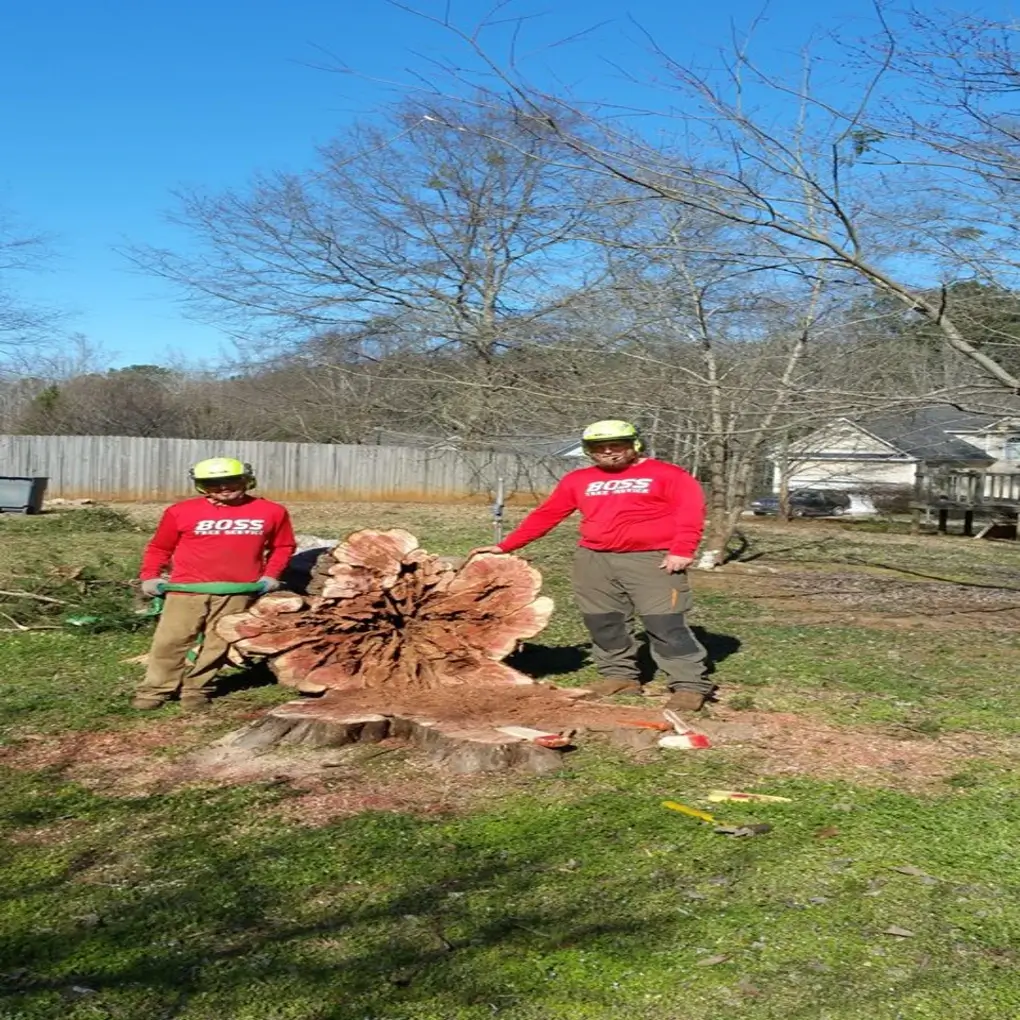 A stump grinding in Tyrone, GA