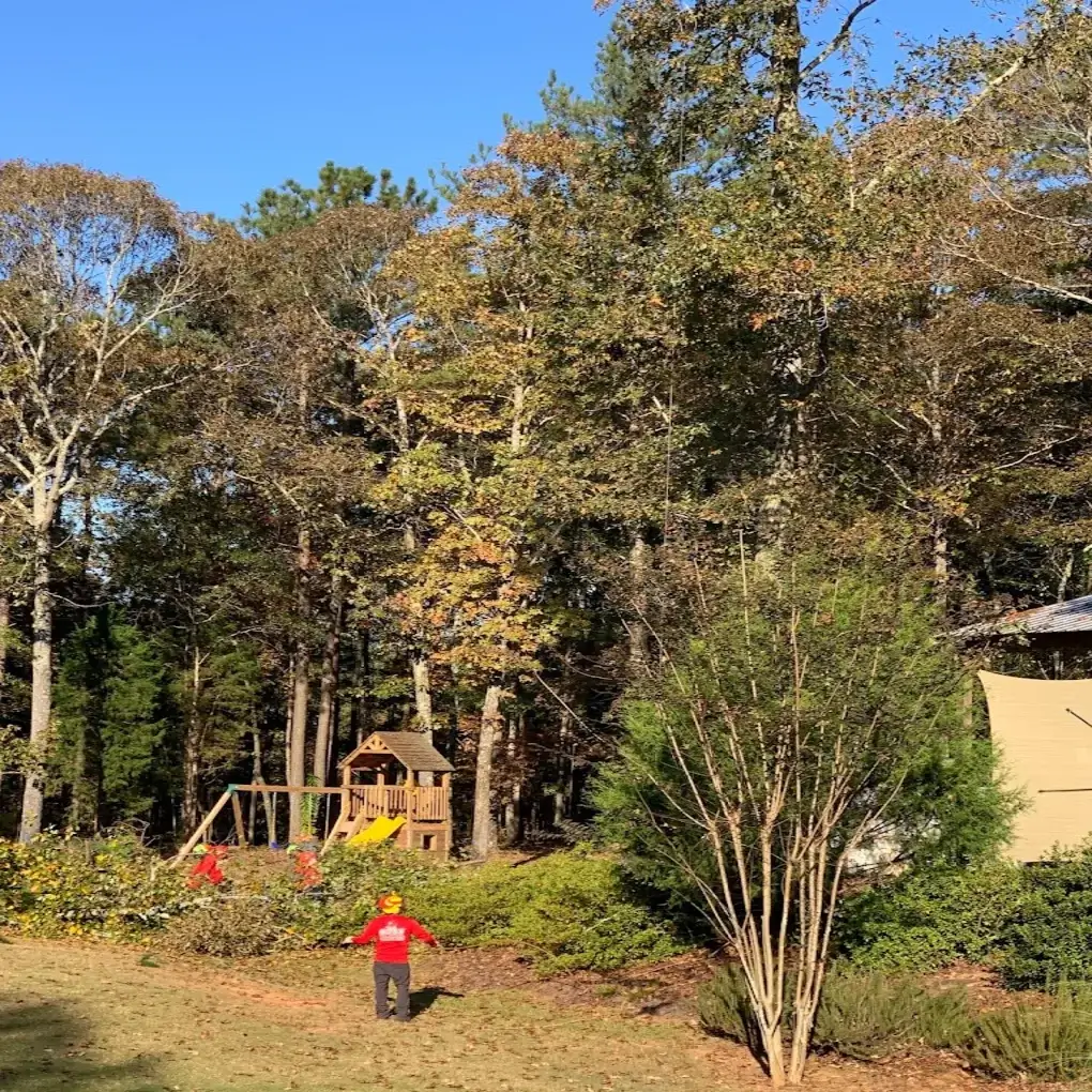 A tree inspection job in Sharpsburg, GA