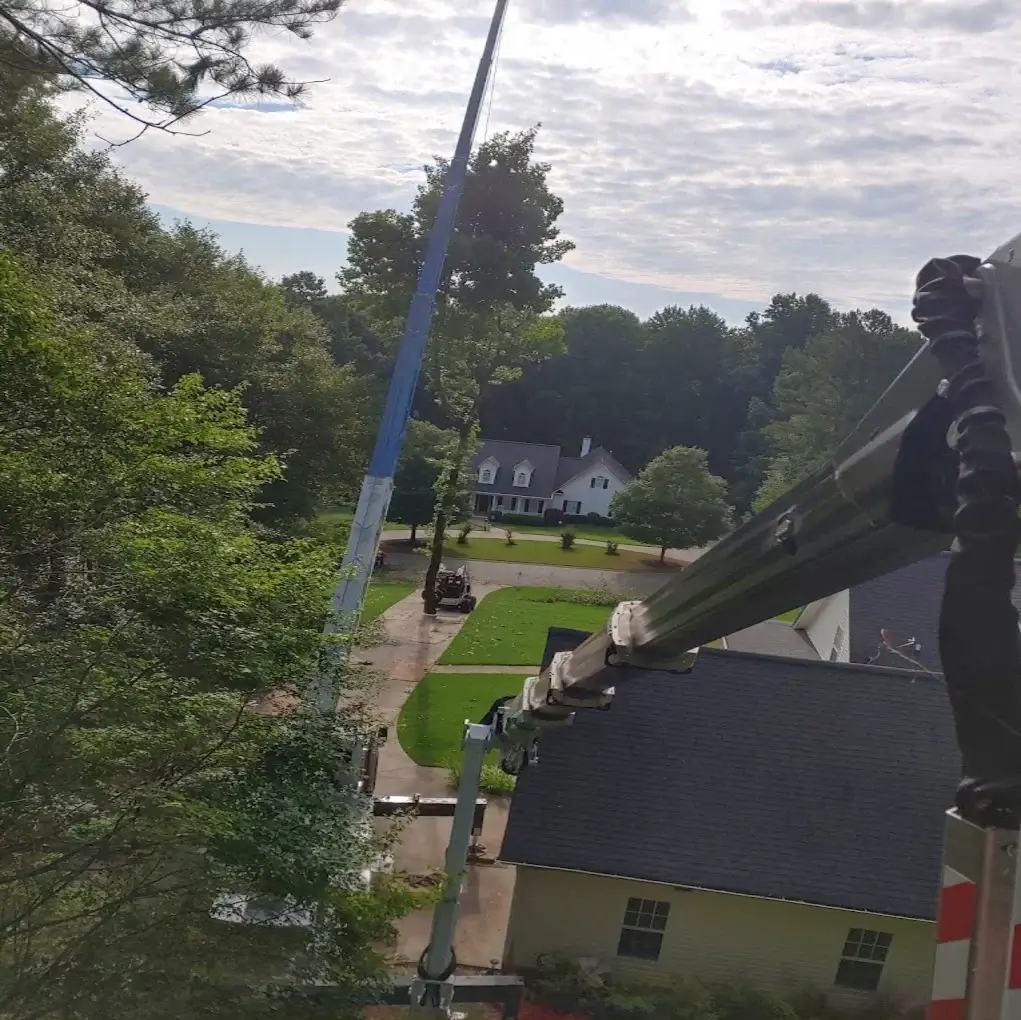 A tree pruning in Senoia, GA