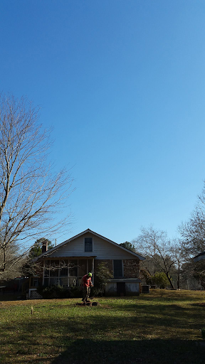 tree removal