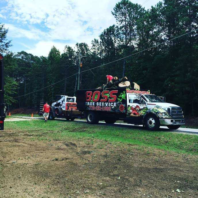 tree service job newnan ga - Boss Tree Service