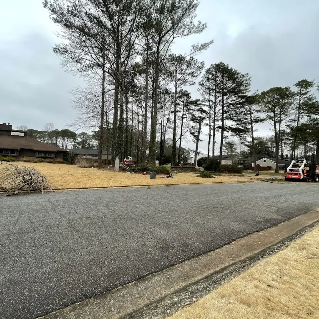 A tree service job being completed in Sharpsburg, GA