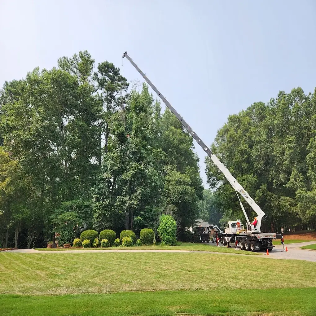 A tree trimming job in progress in Sharpsburg, GA