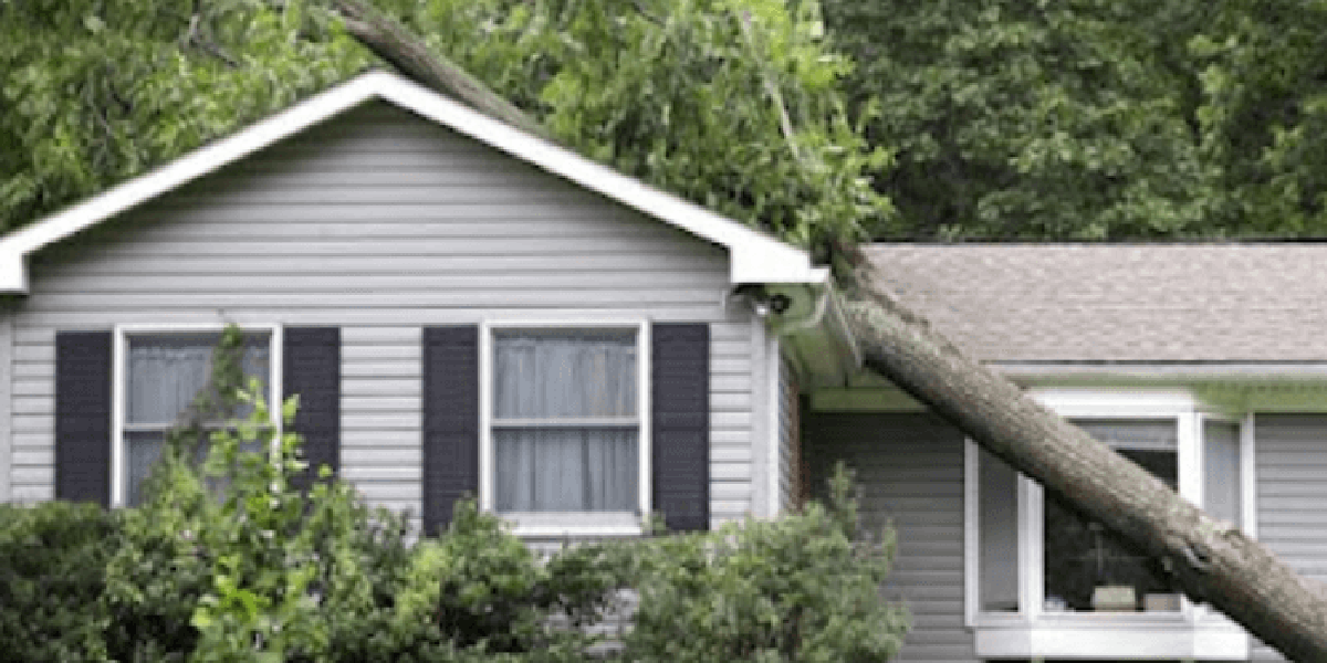 who is responsible for fallen tree removal​